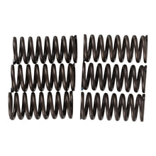 Premier Clutch Springs - Heavy Duty