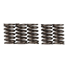 Premier Clutch Springs - Heavy Duty