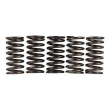 Premier Clutch Springs - Heavy Duty