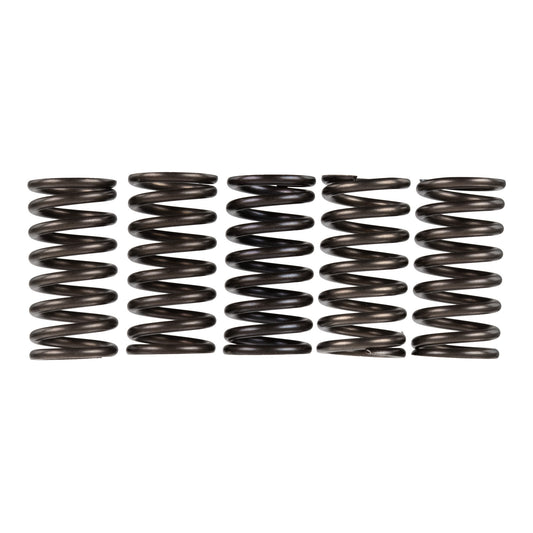 Premier Clutch Springs - Heavy Duty