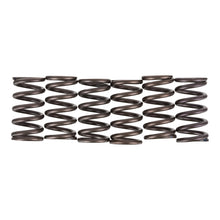 Premier Clutch Springs - Heavy Duty