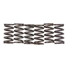 Premier Clutch Springs - Heavy Duty