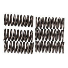 Premier Clutch Springs - Heavy Duty