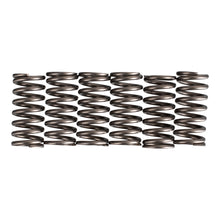 Premier Clutch Springs - Heavy Duty