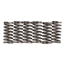 Premier Clutch Springs - Heavy Duty