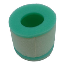 Air Filter Suzuki / Kawasaki LT80 '87-'06 /KFX80 '03-'06