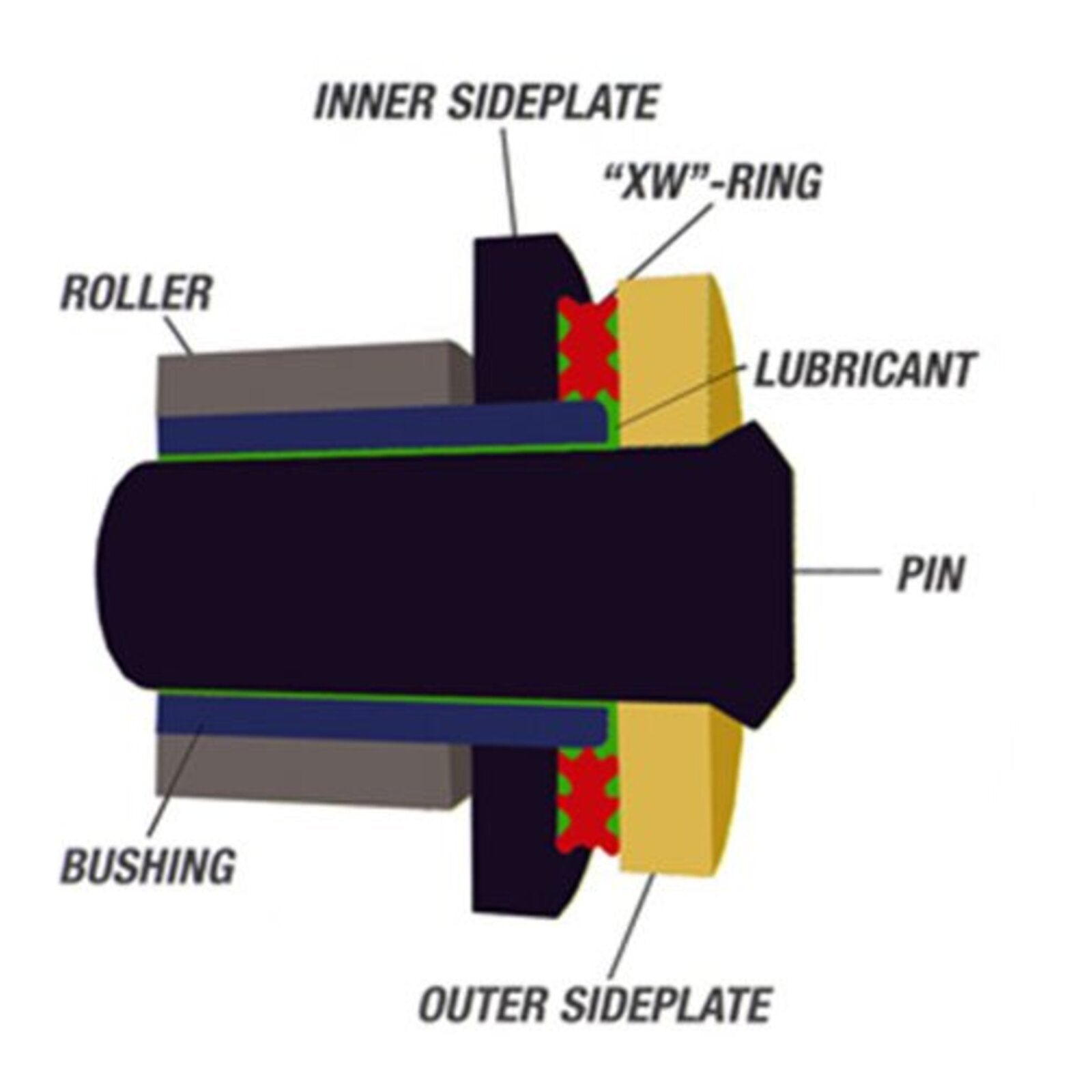 RK 525ZXW XW-Ring Chain - Gold