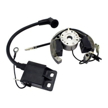 Stator + Rotor + Ignition Coil Kit (RMS900-107608)