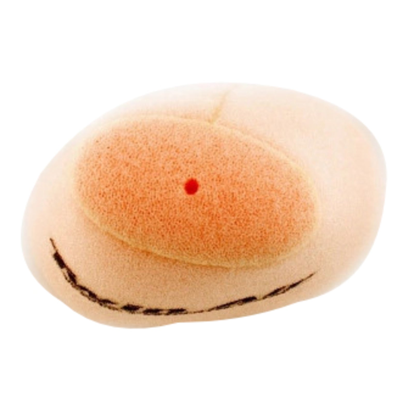 Twin Air Air Filter Yamaha Raptor 660 '01-'05