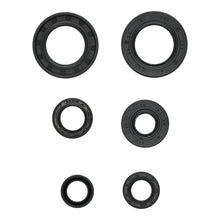 Oil Seal Kit 822391