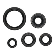 OIL SEAL KIT 822994