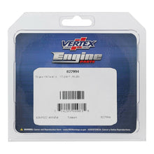 OIL SEAL KIT 822994