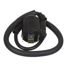 Whites Electrical Coil 12V