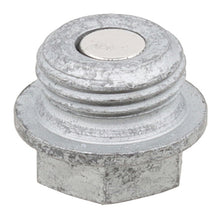 Whites Magnetic Drain Plug M18 x 9 - P1.5