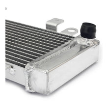 Whites Radiator Kawasaki Ninja 250R '09-'12