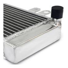 Whites Radiator Kawasaki Ninja 300 '13-'17