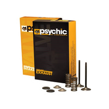 INLET VALVE KIT PSYCHIC MX INCLUDES 2 VALVES, 2 SPRINGS, RETAINERS & SEATS HONDA CRF450R 02-08