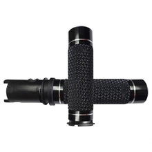 K25-ANO-F24