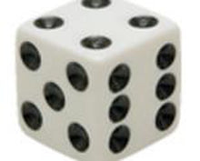 Motoflowz Dice White
