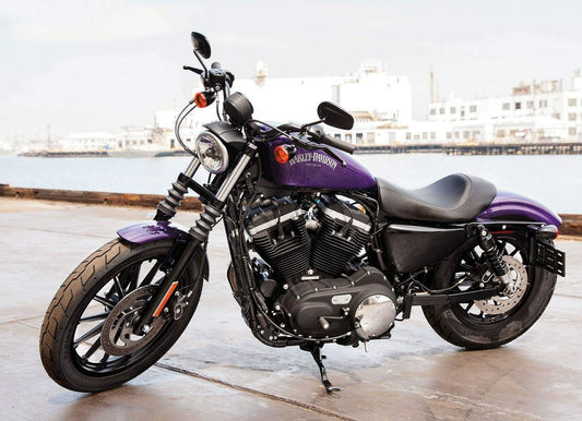 Ventura Luggage for Harley Davidson XL 883 Sportster Iron (04-18)