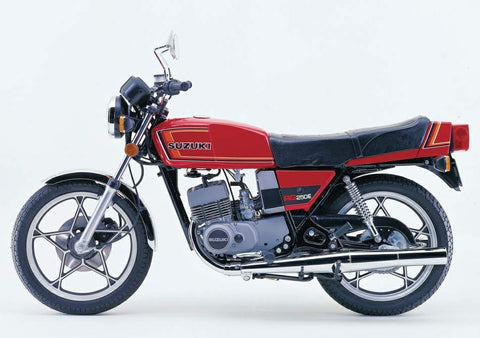 Ventura Luggage for Suzuki RG 250 WD