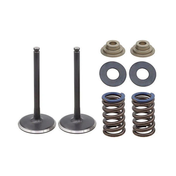 Inlet Valve Kit Psychic Mx Includes 2 Valves, 2 Springs, Retainers & Seats